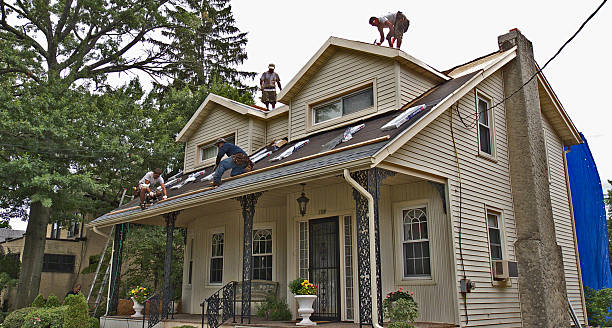 Best Shingle Roofing Installation  in Oak Park, MI