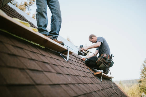 Professional Roofing Contractor in Oak Park, MI